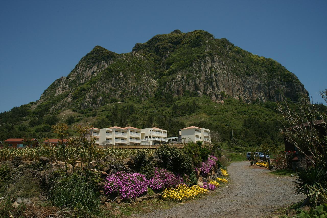 Jeju The Ocean Hill Pension Seogwipo Exterior foto